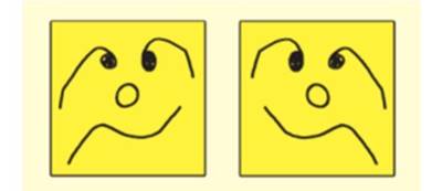 シマウマのシマは黒地に白か 白地に黒か あなたの脳のバイアスをチェック