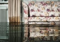 医療費の自己負担増でも死亡率に影響ない？定説を覆した「自然実験」とは？