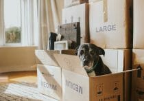 「ゼロ金利下なら財政再建は不要」は正しいのか？財政再建目標をPB黒字化に変更した弊害