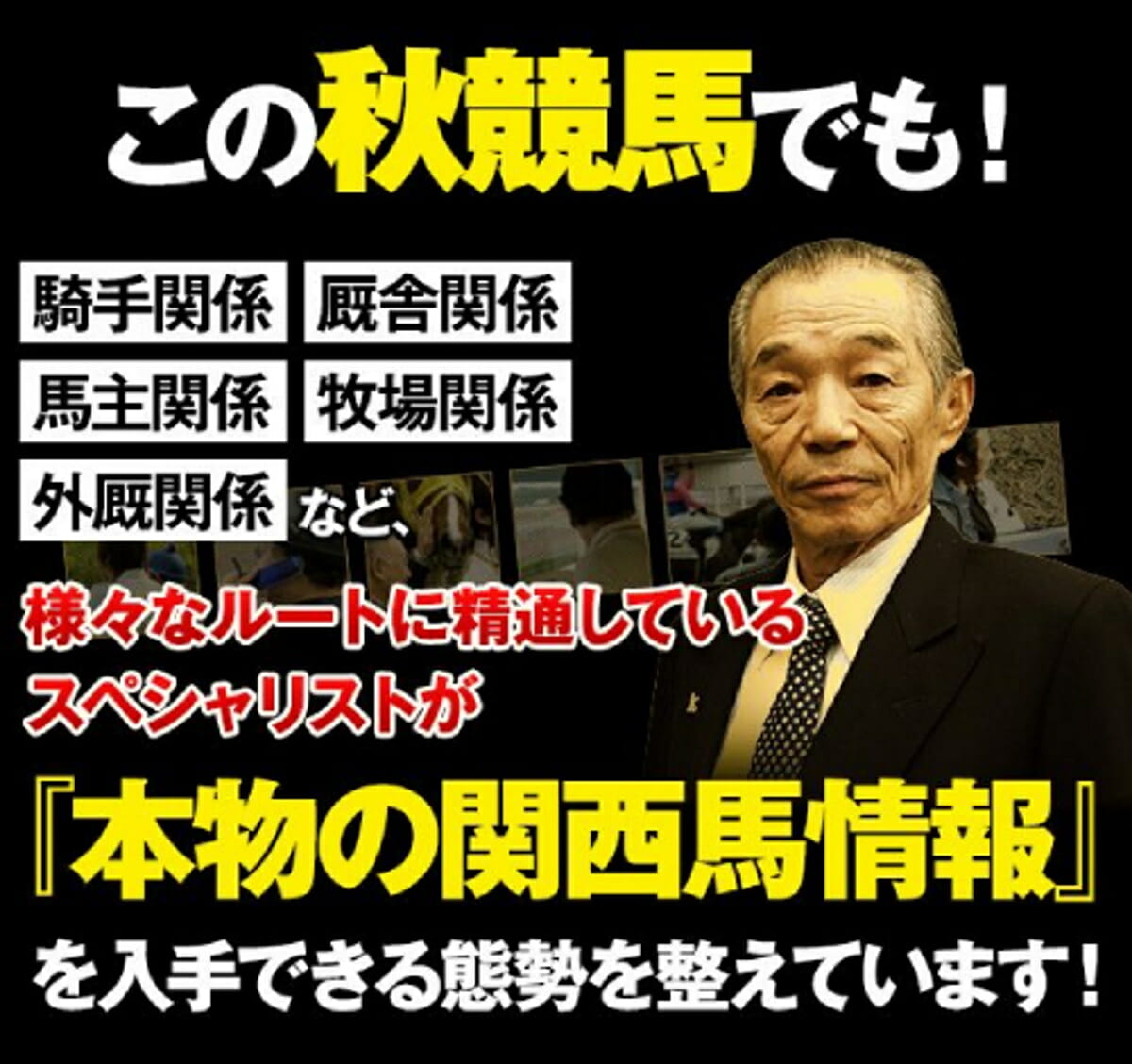 Jra神戸新聞杯で始動する日本ダービー馬シャフリヤールの 表情報と裏情報 とは 菊花賞までも狙える出走馬の裏ネタ Gj