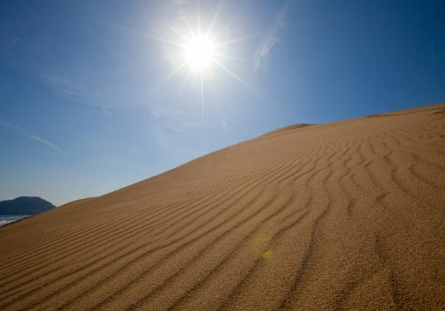 鳥取県、2年連続「SDGｓランキング首位」…社会人の副業づくりにも応用可能！