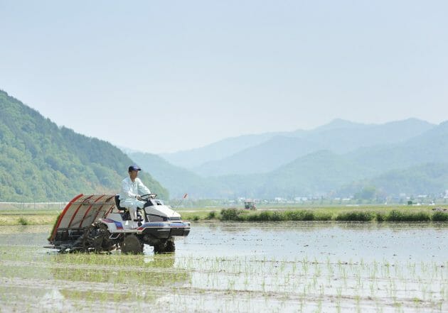 水田の病害虫チェック、人間なら14万人必要→AI活用なら「年2万円」で実現？