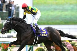 Jra ウマ娘 ゴールドシップの原点ここにあり 圧巻の追い込みを見せた12年菊花賞 Gj