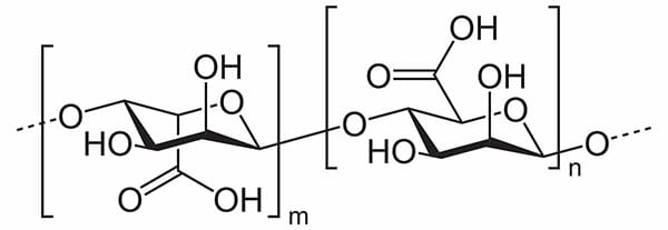 海藻の食物繊維がメタボ抑制に効果？特有のネバネバ物質にも意外な作用の画像2