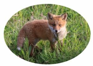 50代シングル、仕事以外のコミュニティ無所属は人生最大のリスク…4つの打開策の画像4