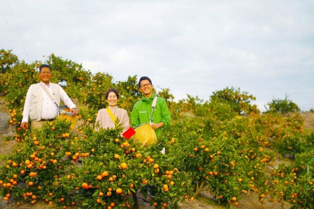 パフェ2千円でも人気殺到…観音山フルーツパーラー、創業百年の果物農家の挑戦の画像6