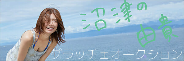 グラドル情報サイト『グラッチェ』オープン記念！　応募者全員に新海まき年賀状プレゼントの画像4