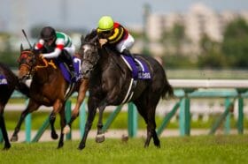 JRA有馬記念、お祭りの馬券売上は470億円超か…人気薄の激走穴馬とは?