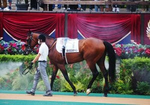 有馬記念、今年の狙い馬は「エフフォーリア」であるデータ的理由