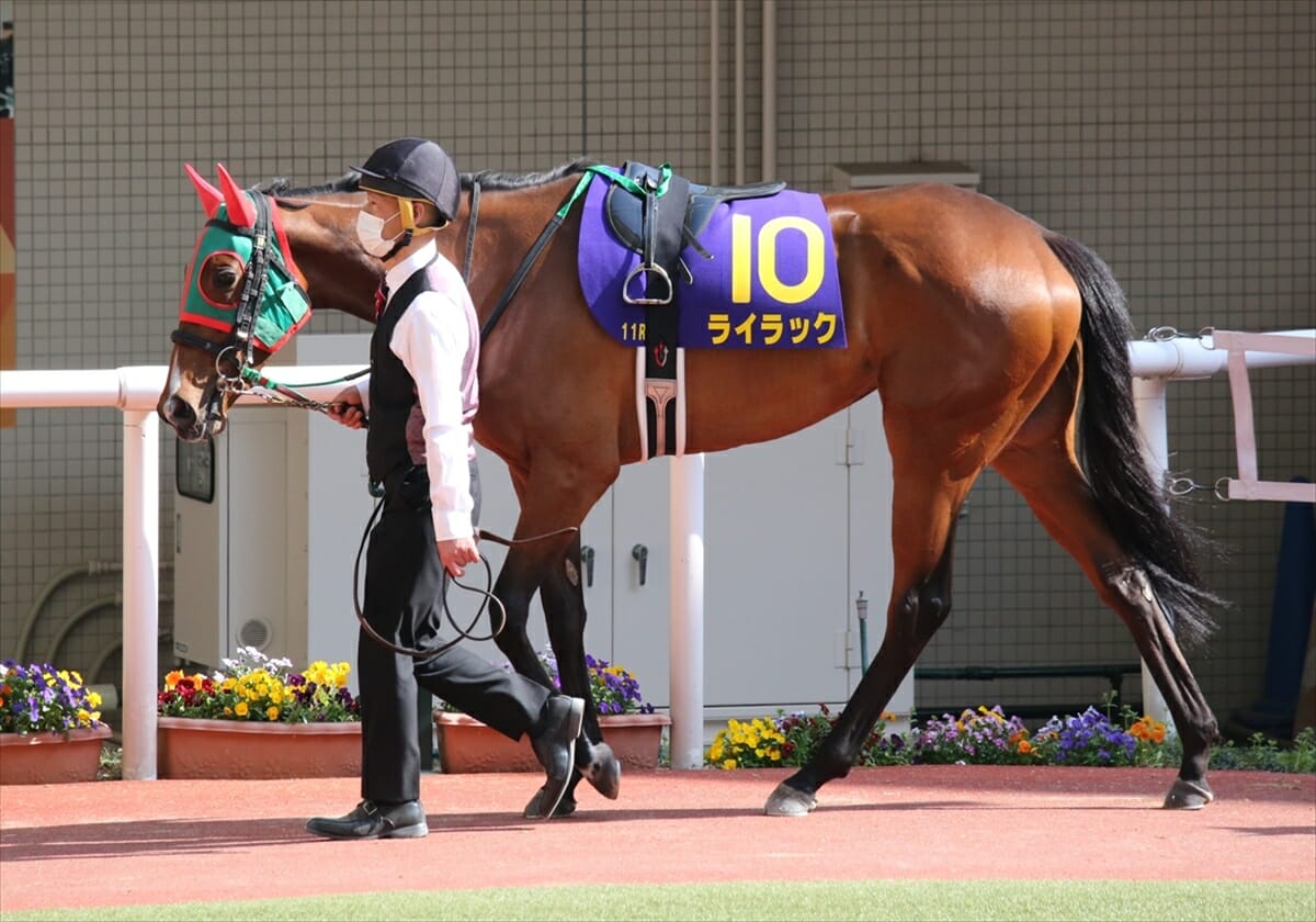 重賞30連敗 M デムーロ必勝の紫苑s 捨てられた 相手が牙を剥く Gj 重賞30連敗 M デムーロ必勝の紫苑s 捨てられた 相手が牙を剥く Gj