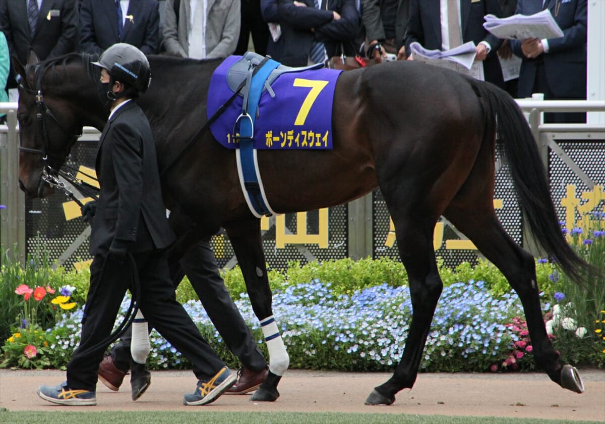 は人気しそうだが ボーンディスウェイを推したい ラジオnikkei賞 G3 予想 サトノヘリオスは危険な人気馬 実績重視で人気薄の穴馬本命で好配当をいただき Gj