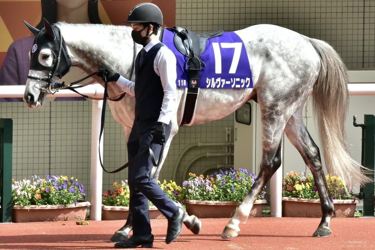 【ステイヤーズS（G2）展望】タイトルホルダーに“肉薄”!? あのお騒がせ馬が復帰