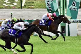 ダノンスコーピオンのニュース ビジネスパーソン向けニュースサイトのビジネスジャーナル ダノンスコーピオンのニュース ビジネスパーソン向けニュースサイトのビジネスジャーナル