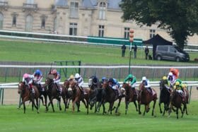 エルコンドルパサーの最新ニュース記事 まとめ ビジネスパーソン向けニュースサイトのビジネスジャーナル