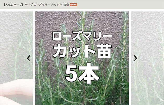 防虫ネット ハーブの苗はマスト買い ヤフオクで買うべき家庭菜園の便利商品5選