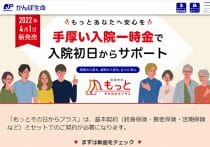生命保険や医療保険は不要？安心して生活するための必要額