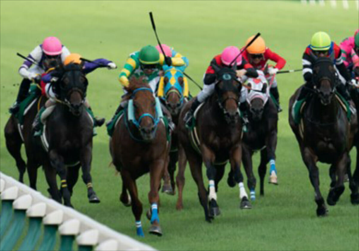 宝の山は新潟千直！JRAアイビスSDは「オヌシナニモノ・今村聖奈」VS「スティクス・藤田菜七子」史上初の重賞対決で美味しい高額万馬券か？