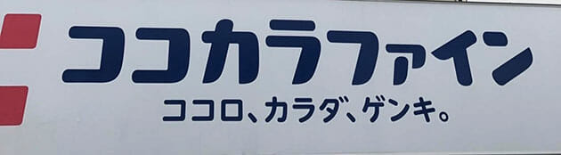 百貨店を凌駕する「ドラッグストア」業界が直面する店舗過剰・値上げ・新たな再編の画像4