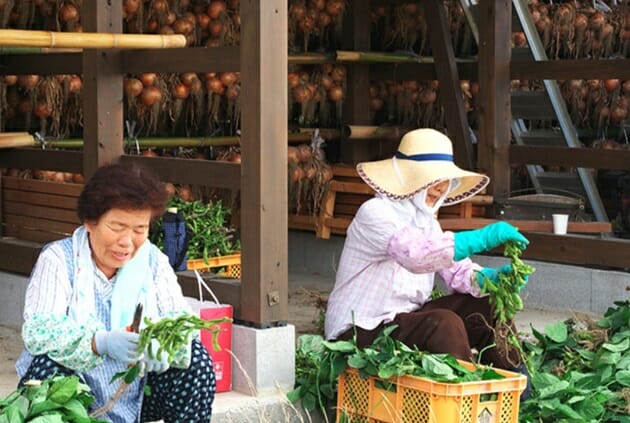 東洋大学「日本一の学食」運営会社、大学が年4カ月休業でも利益が出る秘密の画像7