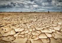 日本より耕地面積が狭いスイスやオランダの食料自給率が、日本より大幅に高い理由