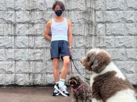 木村拓哉のニュース ビジネスパーソン向けニュースサイトのビジネスジャーナル