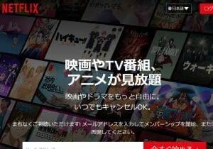 アニメファンの熱量低下？Netflixなどが批判覚悟で一挙全話配信をやる事情