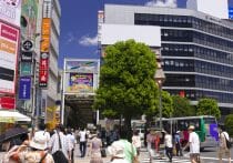 好アクセス・低家賃で東京・多摩エリア人気上昇、なかでも穴場は西武新宿線？