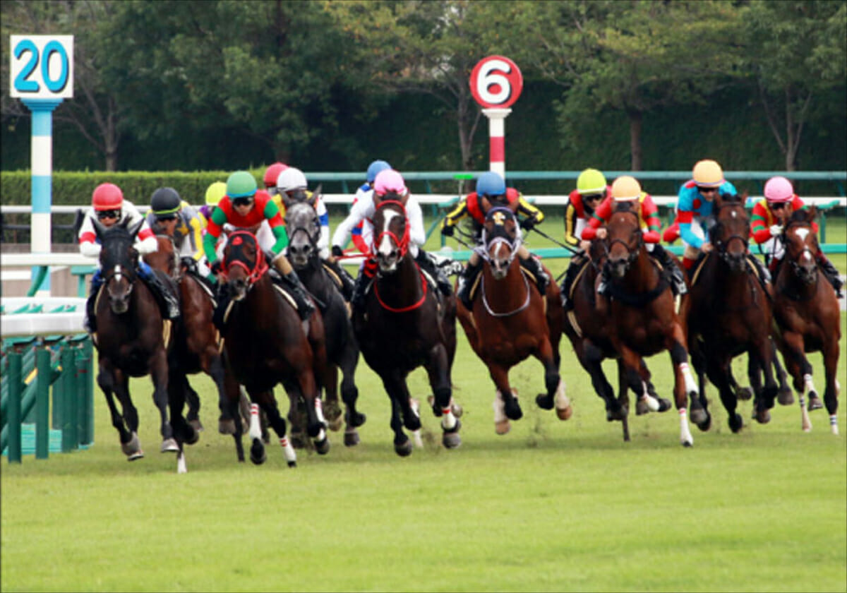 【チャレンジC（G3）展望】3歳馬「優勢」レースに各世代の「未完の大器」が集結！