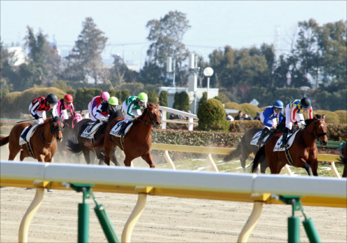 【チャンピオンズC（G1）展望】テーオーケインズ「不安要素」浮上で3歳馬に勝機？