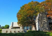 民主主義の軽視、少子高齢化、ニュース砂漠化…江川紹子が危惧する「今年直面する正念場」