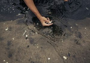 深刻化する密漁、犯人の意外な正体…実は消費者に莫大な被害？漁師に多額金銭損失