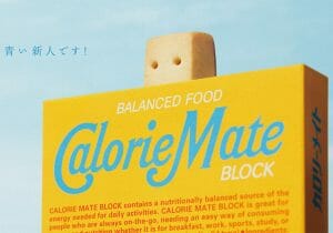 カロリーメイト、フルーツ味が売ってない？休売の背景を大塚製薬に聞いた