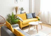 格安の賃貸物件に入居→大量の虫発生、近くにごみ処理場…内見時に絶対質問すべき項目