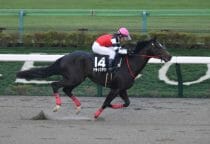 JRAフェブラリーSで奇跡が起こる？トップジョッキー福永祐一、有終の美を飾るか