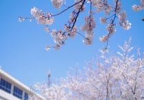 慶應幼稚舎～慶應大学まで学費「計2500万円」はコスパ悪い？安い買い物？