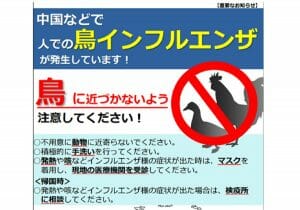 鳥インフルエンザ、鳥から人に感染例…想定死者数64万人、国内のワクチンがゼロ