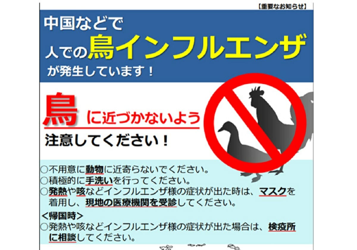 鳥インフルエンザ、鳥から人に感染例…想定死者数64万人、国内のワクチンがゼロ | ビジネスジャーナル