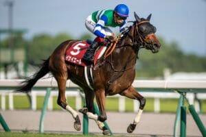 JRA高松宮記念、武豊ら名手たちはドバイ遠征で不在、有力馬も不安多く高配当決着か