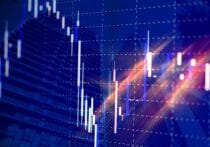 ペットショップや飼い主から放棄された犬たちが、里親に引き取られるまでの物語