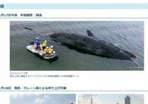 大阪IR、海外カジノの数倍の6400台の電子賭博機を設置…「世界一危険」報道