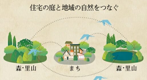 積水ハウス「5本の樹」計画の驚異的成果…植栽1810万本、鳥や蝶が飛躍的に増加の画像3