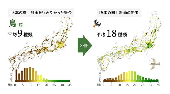 積水ハウス「5本の樹」計画の驚異的成果…植栽1810万本、鳥や蝶が飛躍的に増加の画像4