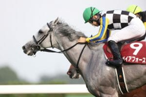 武豊“鬼門”のJRAマイラーズCは波乱必死…新京都競馬場でも関西馬が独占か