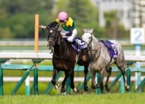 豪華メンバーのJRA天皇賞・春で波乱か…穴馬に騎乗の“盾男”武豊に秘策あり？