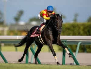 豪華メンバーのJRA天皇賞・春で波乱か…穴馬に騎乗の“盾男”武豊に秘策あり？