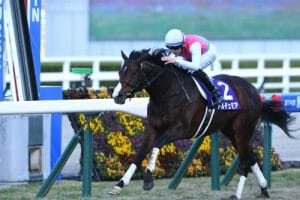 NHKマイルカップ、馬連3点で大勝負！【関係者の重要情報】で一攫千金が狙える！