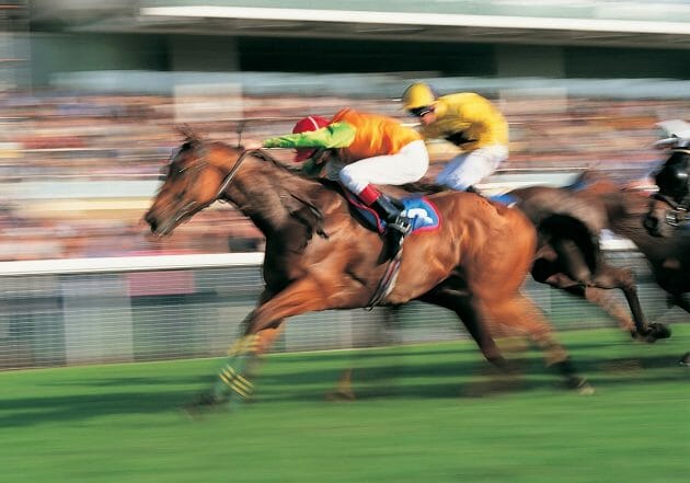 JRA厩務員も実行せず…日本からストライキが消えた理由　非正規社員の増加も原因