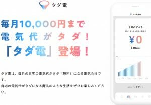 電気料金大幅値上げ…毎月1万円まで無料になる「タダ電」、実際に安くなるのか検証