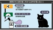 ChatGPT、なぜ市のゴミ出し案内への活用が頓挫…実業務への導入に課題