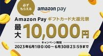 アマゾンペイで最大限ポイント稼ぐ術、実質14％還元？